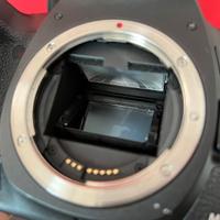 Canon 5D mark iii