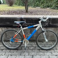 Bici Montain bike in alluminio ammortizzata