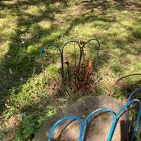 Cerchietti per bordura siepi