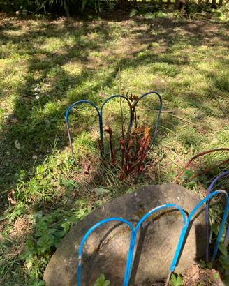 Cerchietti per bordura siepi