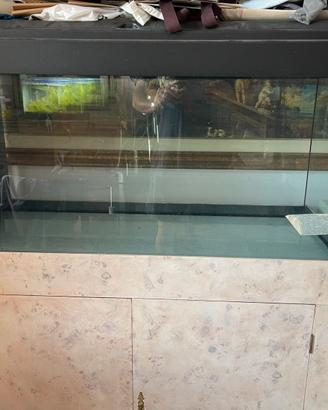 Acquario  con supporto 200 litri