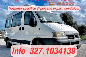 FIAT DUCATO ARICAR VITA TRASPORTO DISABILI