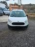 ford-currier-2017
