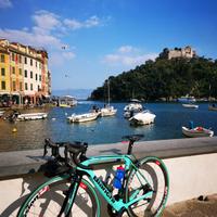 Bici da corsa taglia 53