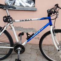 Bicicletta Vicini