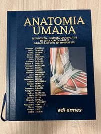 Anatomia Umana - ANASTASI