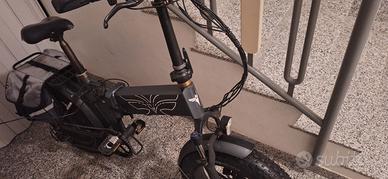 Bicicletta elettrica Fat Bike EP-02 750W