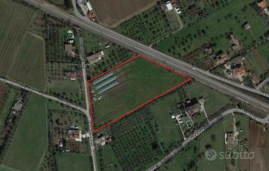 Terreno Agricolo Lanuvio [Cod. rif 3075637VCG] (Ma