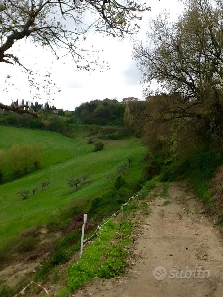 Terreno Agricolo - Vista 4