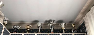 Trofei e coppe
