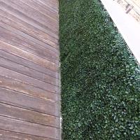 Siepe artificiale