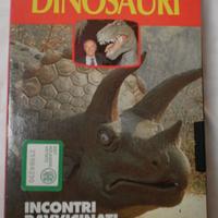 Raccolta dinosauri