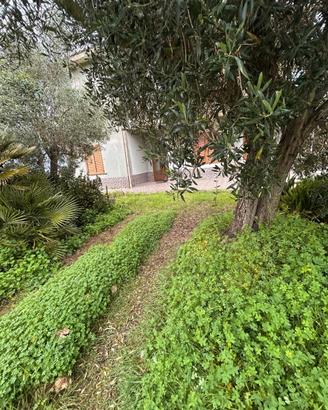 Semi indipendente libero su 4 lati con giardino