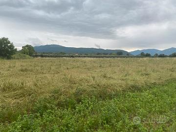 Terreno agricolo piana di Venafro