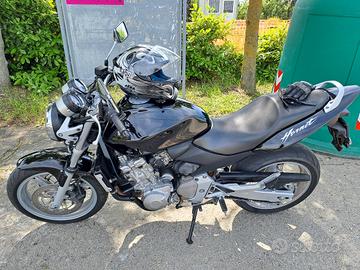 honda hornet 600