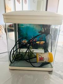 Mini acquario Nobleza