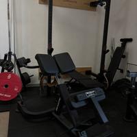 Panca romana rexgym