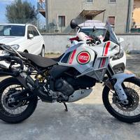 DUCATI DesertX 937 Lucky Explorer