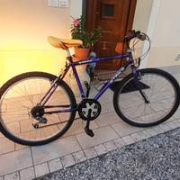 bicicletta per tempo libero