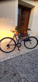 bicicletta per tempo libero