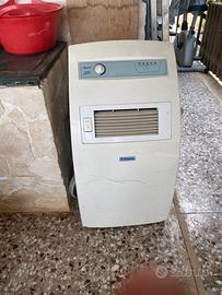 Condizionatore portatile