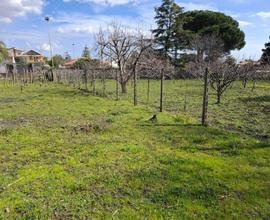 Rif.PS107| area edificabile viagrande