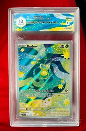 Budew n.221 GRAAD 10!