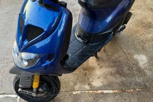 zip sp prima serie 1999