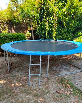 Trampolino elastico 366