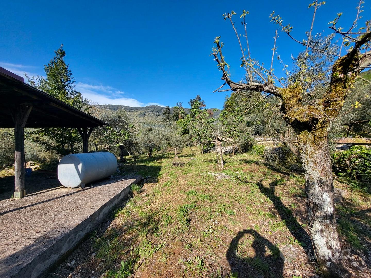 Terreno di 3300 mq con uliveto secolare - Sonnino - Vista 5
