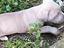 Immagine 3
