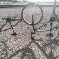 bici Hogan e rockrider 