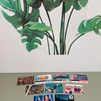 Lotto Schede telefoniche