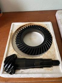 Pignone e corona 1143