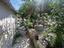 Immagine 27