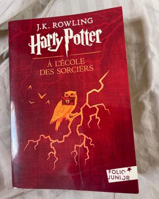 Libro in francese : Harry Potter à l’École des Sor