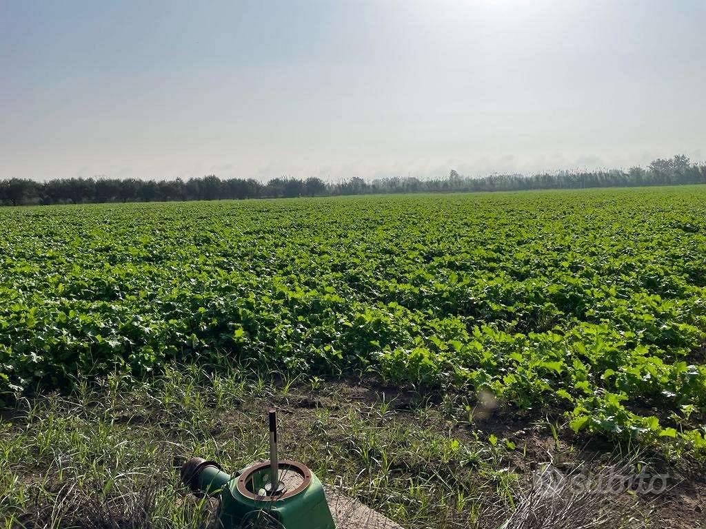 Terreno di 27000 m² a Mondragone - Vista 4