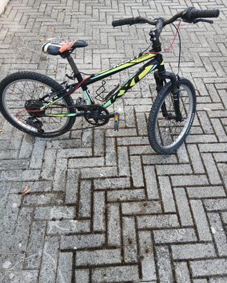 bicicletta 