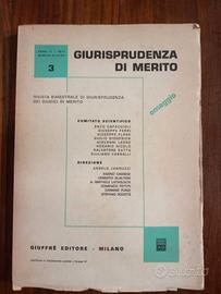 Giurisprudenza di merito. Libro usato. 