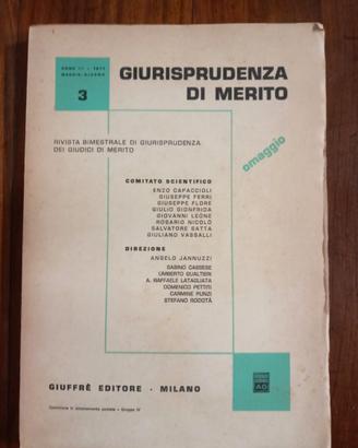 Giurisprudenza di merito. Libro usato. 
