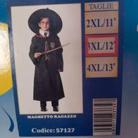Vestito Carnevale