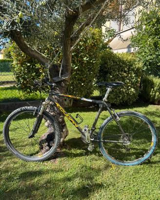 Mountain bike lee cougan
