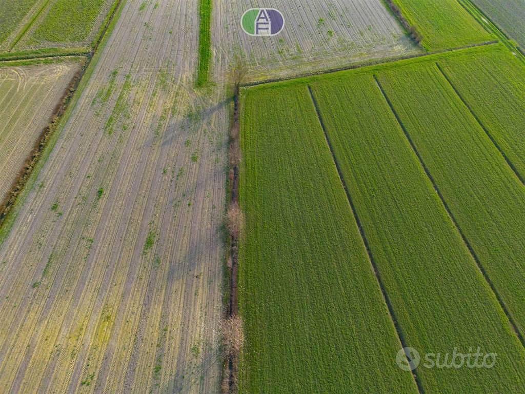 Terreno di 21850 m² a Pianiga - Vista 4