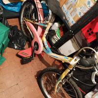 bicicletta 