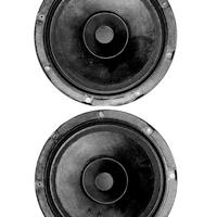 Altoparlante AD12100 /HP4 - Philips (coppia)