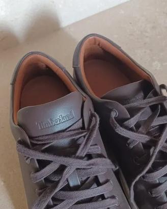 Sneakers Timberland
