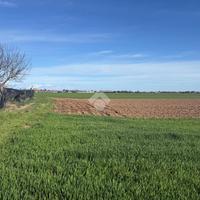 TER. AGRICOLO A TURATE