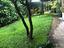 Immagine 25