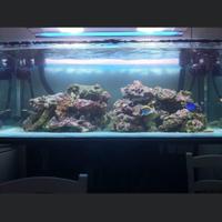 Acquario Marino, Plafoniera HQI, Rocce Vive Fiji