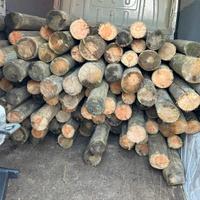 Pali di legno auotclavati di 2m